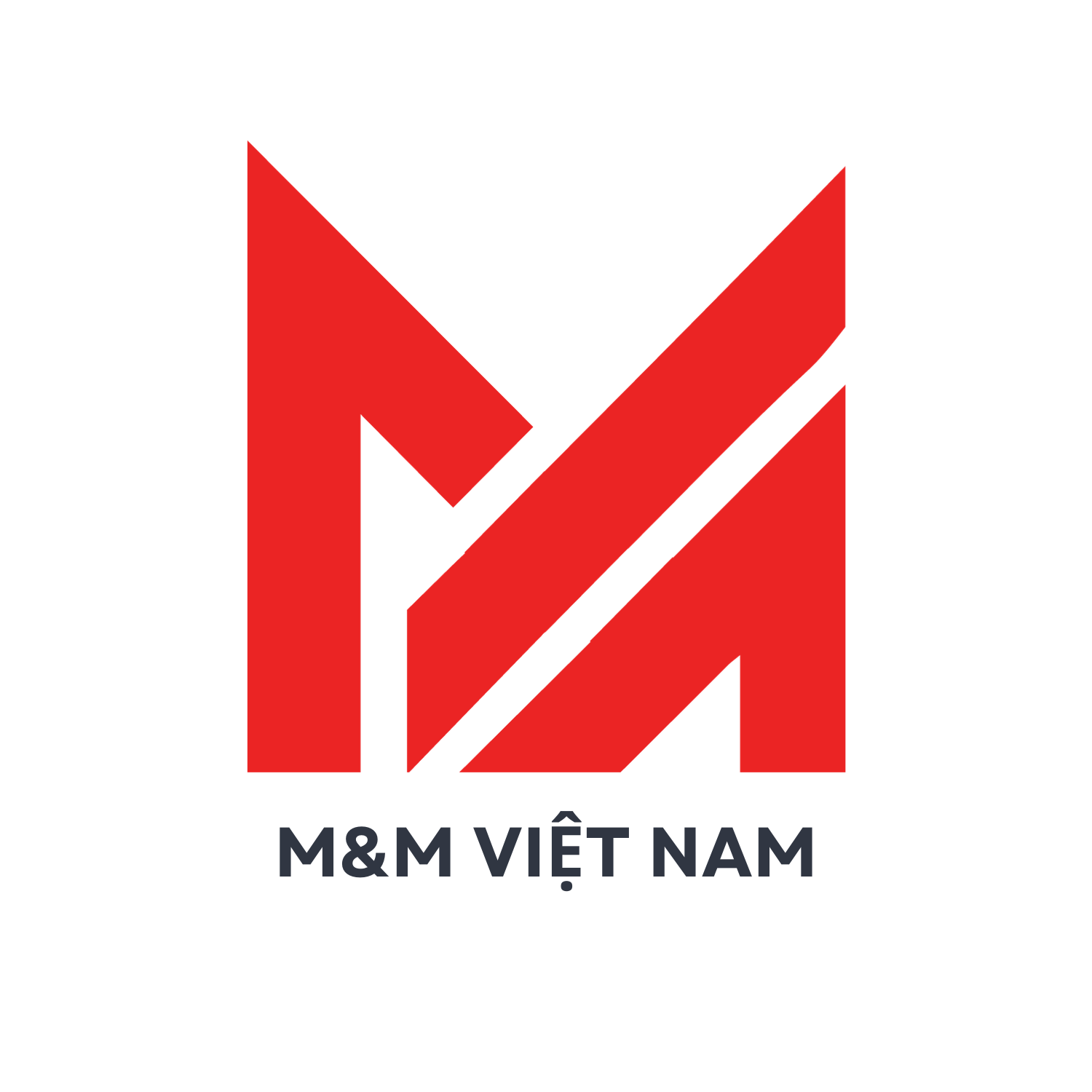 Công Ty TNHH MTV M&M Việt Nam